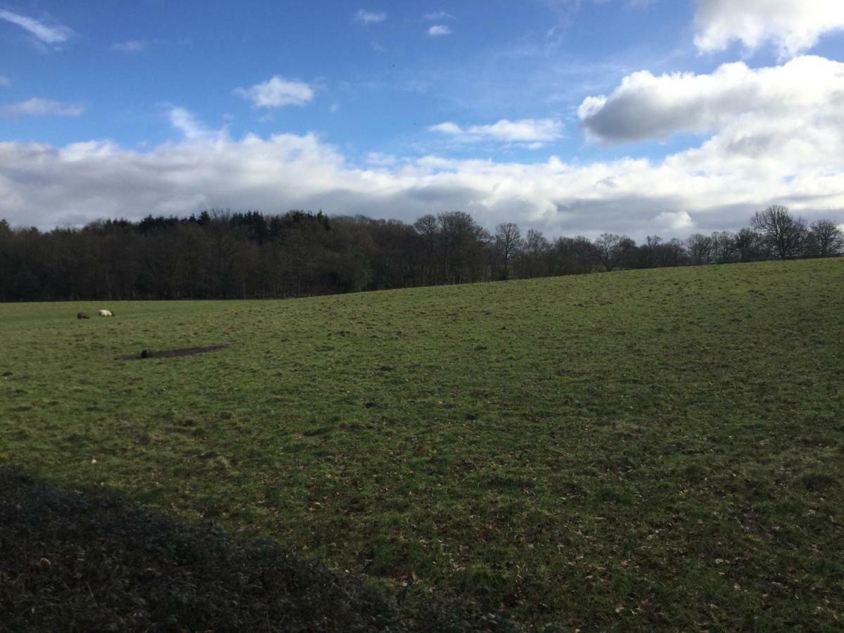 Field Cottage B&B Haywards Heath Luaran gambar